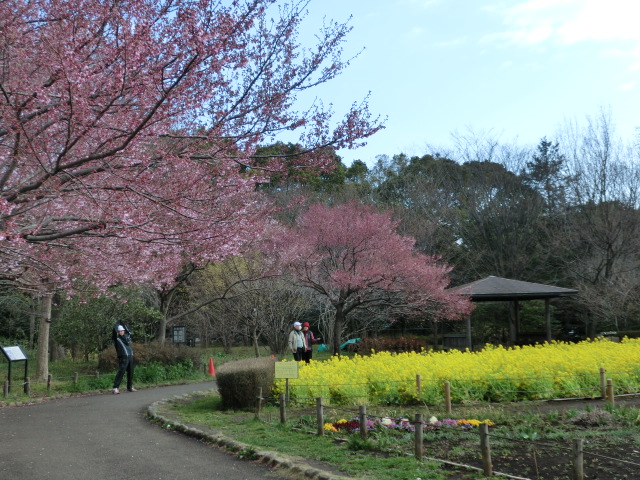 http://www.rokakoen.tokyo/CIMG0720.JPG