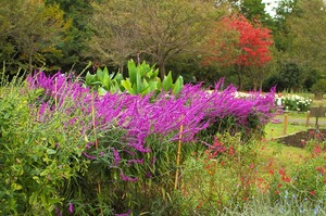 花の丘